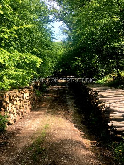 Proprietate autentica cu potential turistic lângă satul Viscri,  judetul Brașov - 50