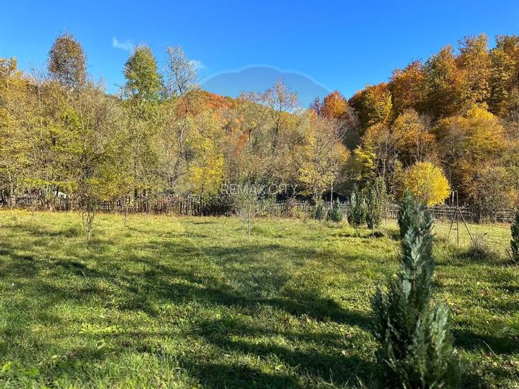 Teren de vanzare Cuiejdel 1350 mp - 3