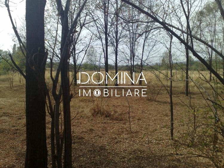 Vanzare teren intravilan 6843 mp, aproape de Manastirea Polovragi - 7