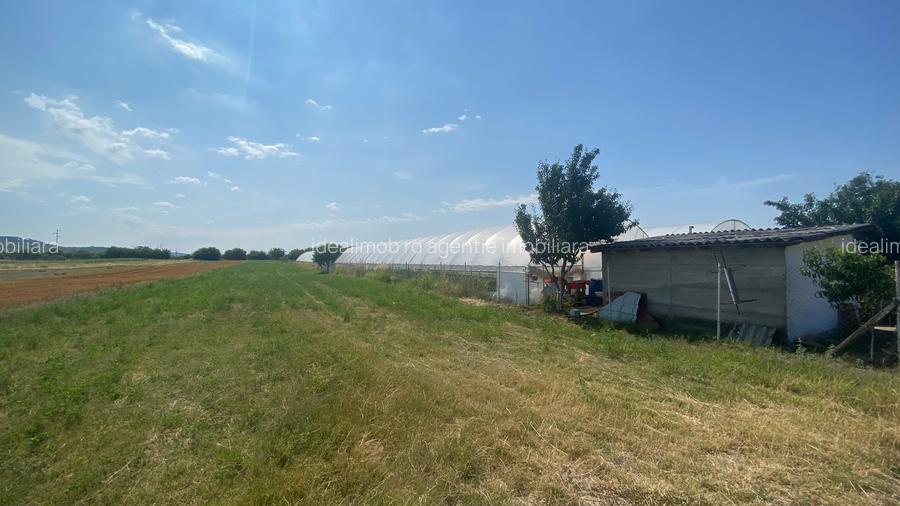 Teren extravilan S= 5000 mp, Udeni-Zavoi, Arges - 5