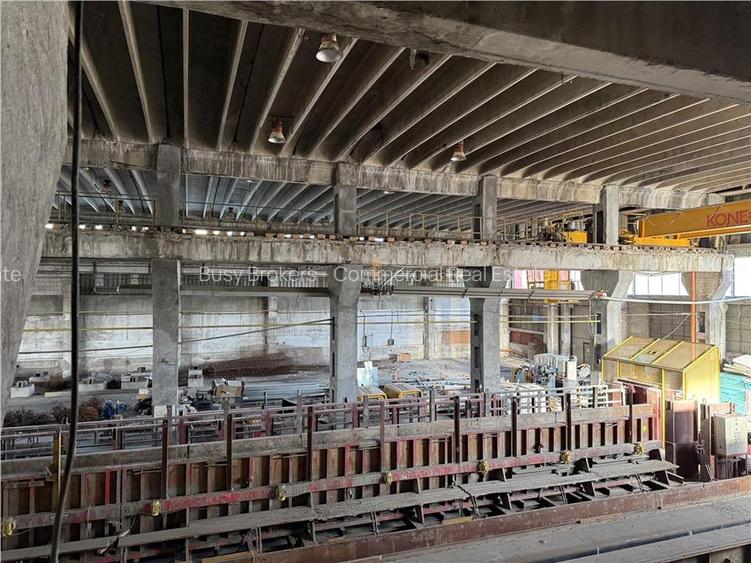 Spatiu Industrial - 4000 mp - Productie - Depozitare - Distributie - Sibiu - 25