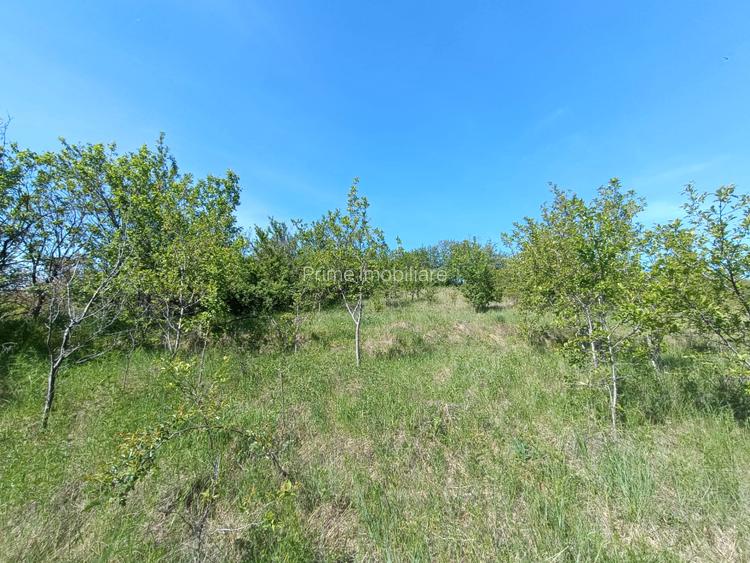 Teren 2160 mp | Panoramă | Zonă liniștită Pâclișa - 2