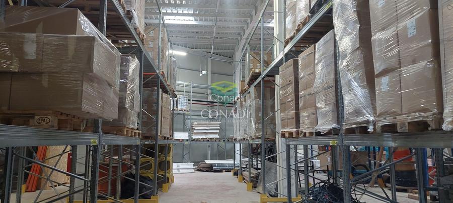 MOGOSOAIA CENTURA |READY TO MOVE IN I HALA depozitare si birouri - 7