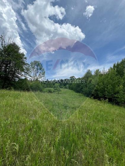 Teren 6,865mp Voroneț / Gura Humorului / Bucovina - 19