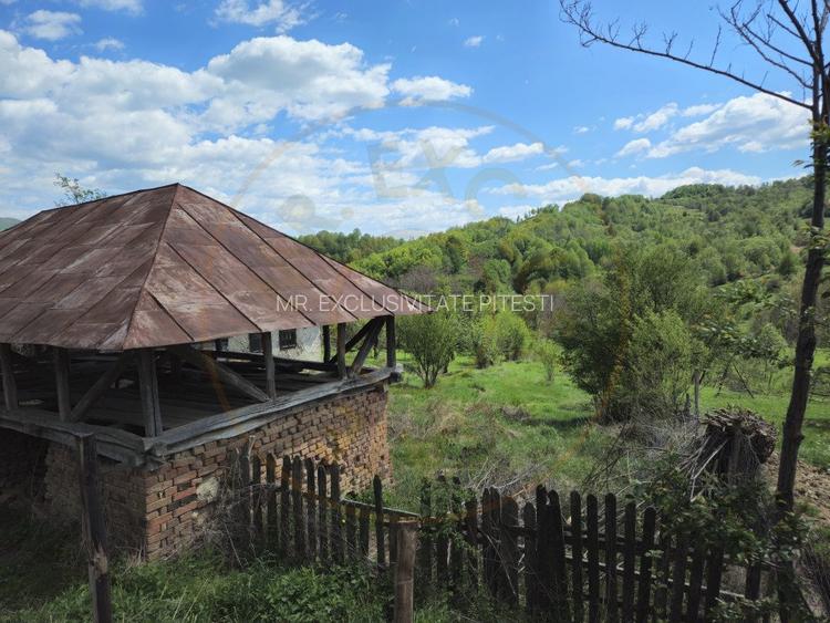 Teren 1200 mp + Casa - Comuna Arefu - 5