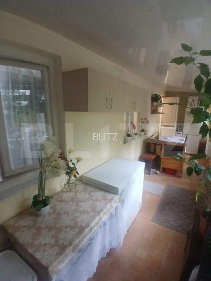 Apartament 2 camere zona Alexandru cel Bun  - 17