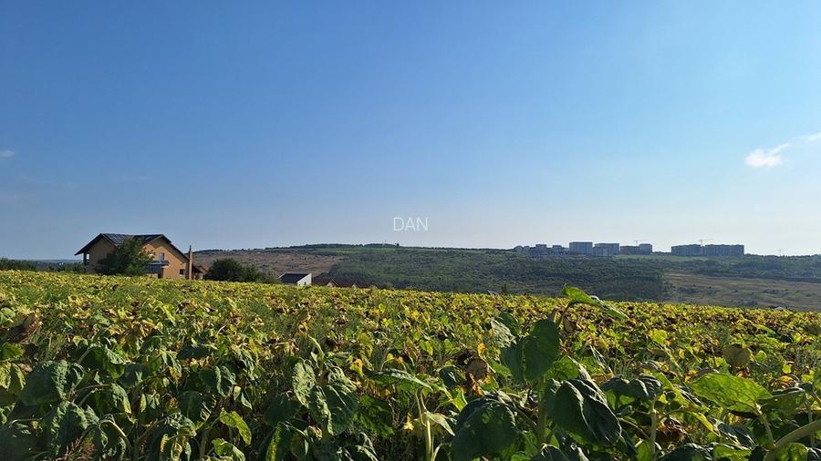 Vand teren intravilan, 5000 mp, Iasi, Rediu, Podisul Beldiman - 5