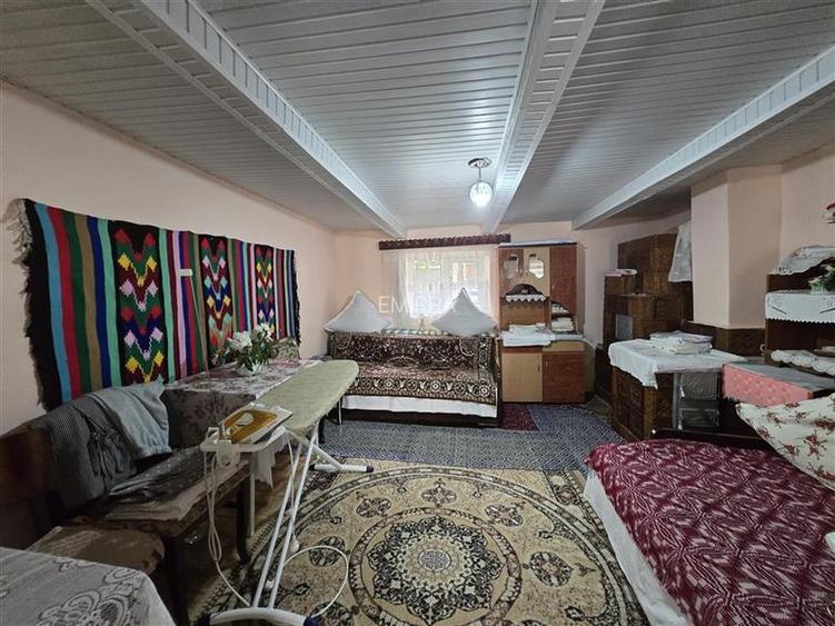 Proprietate de vanzare in Sat Izvoare, com. Bahna, judetul Neamt - 19