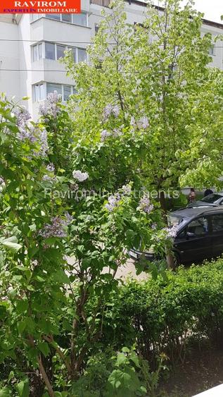 Apartament cu trei camere, decomandat, semimobilat, la parter, Bistrita Lac - 19