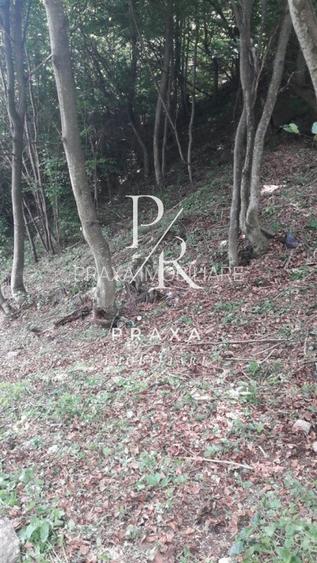 Teren de vanzare 10.000 mp/ parcelabil, cu utiitati, 4 euro/ mp! Maguri Racatau! - 2