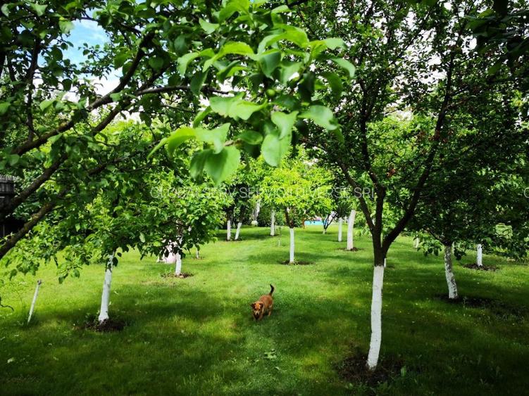 FARA COMISIOANE casa cu 6 camere 2 bucatarii P+1 TIGLA PISCINA BECI GARAJ - 2