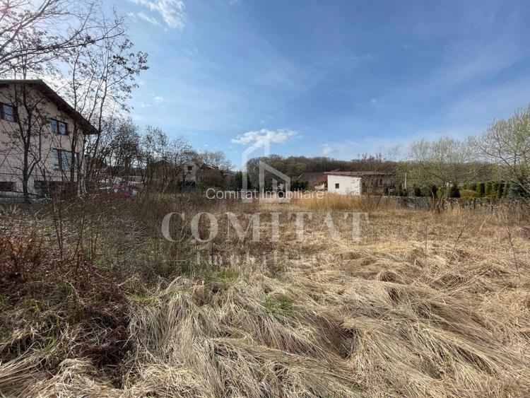 Teren autorizabil Făget - 4