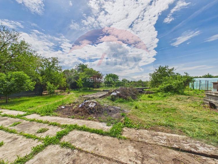 Casă 65 mp + teren 4000 mp, livadă, Butimanu - 20