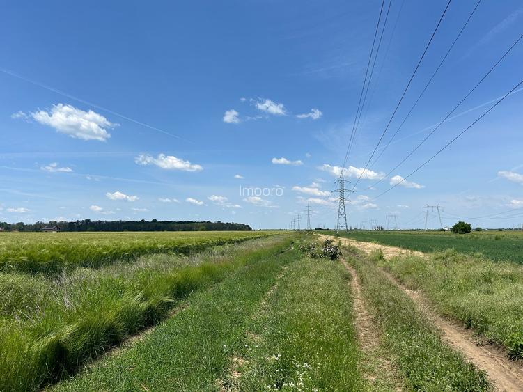 vanzare teren în Măgurele, Pruni, strada Argeș 12000 euro - 2
