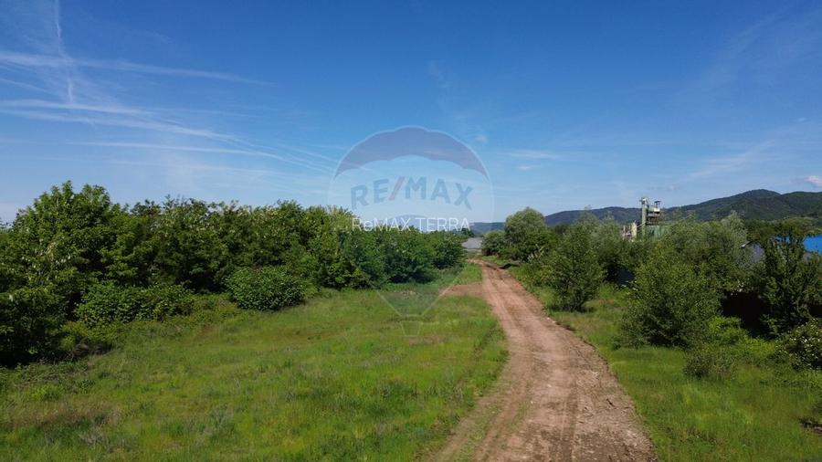 Teren Ideal Pentru Hala De Vanzare - 4