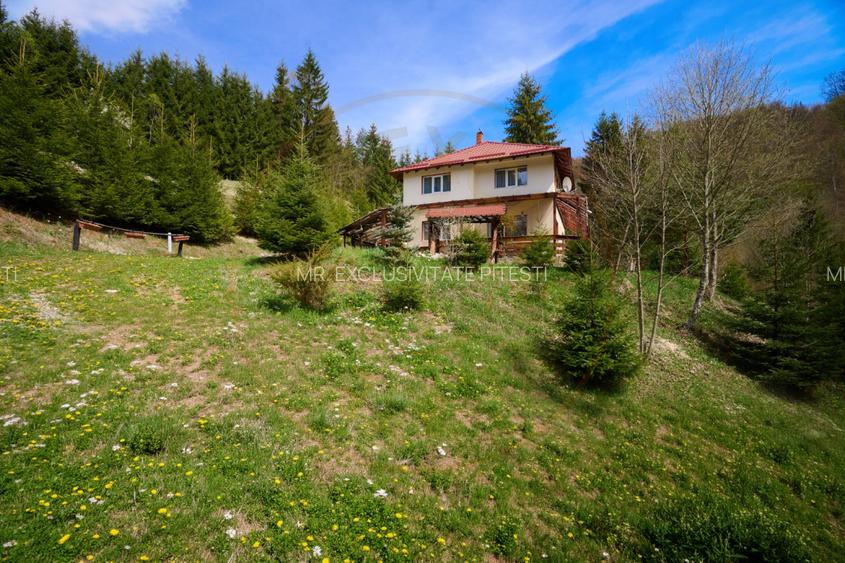 Casa Dambovicioara - CASA de vacanta sau PENSIUNE profitabila - 11