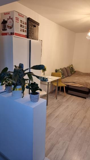 Vand garsoniera cu preluare chiriasi - 8