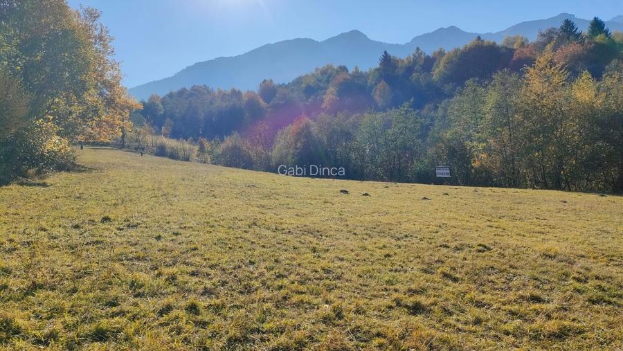 Teren de vânzare Bran Tohanita!  - 2