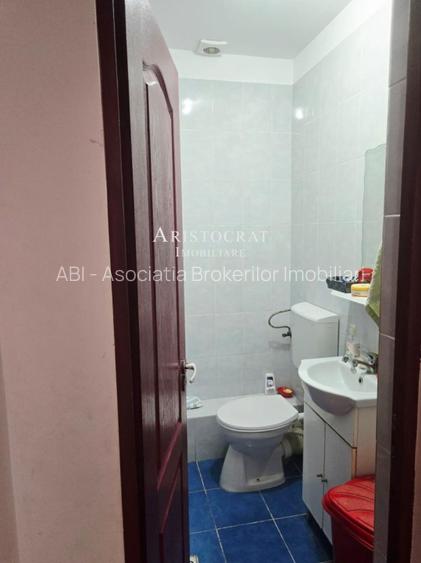 Duplex pe parter Tamasi padure - 10