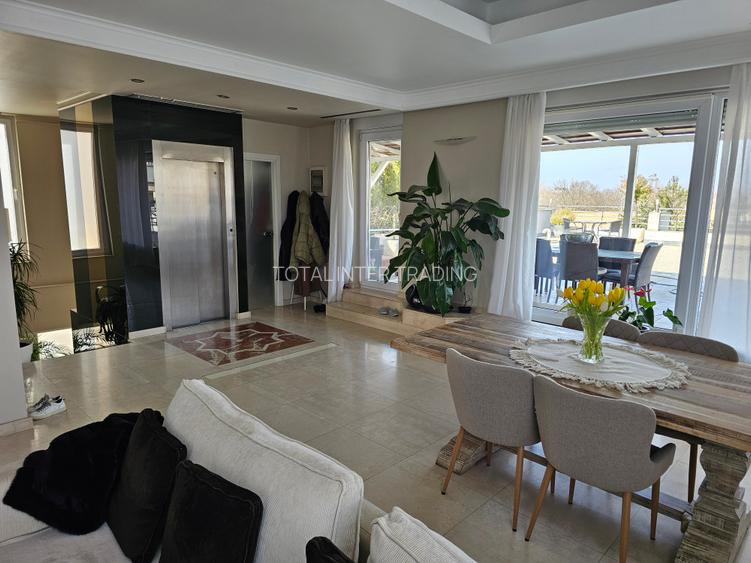 Herastrau-Cotrus-Penthouse 3/3-lift dedicat,parcare subsol,132 mp +terase 260 mp - 7