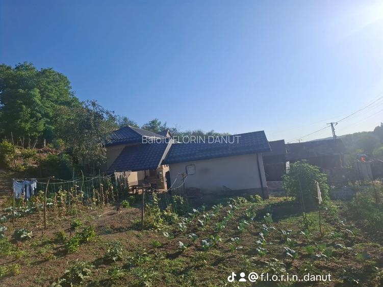 PROPRIETAR VIND URGENT CASA  - 16