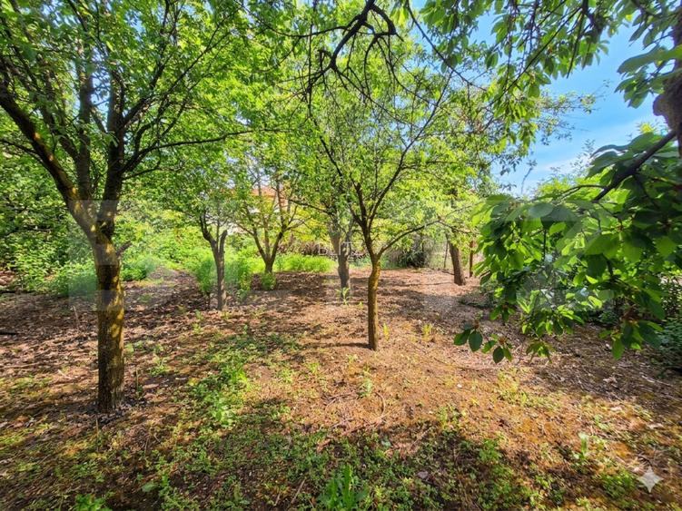 Casa individuala Iris, 770 mp teren, 110 mp utili, zona Rivus - 5