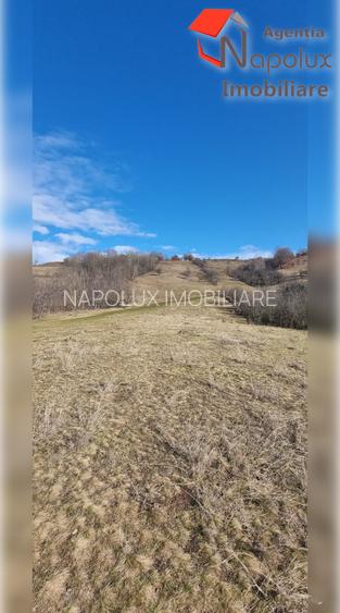 Teren de exceptie 3,1 ha intravilan | Panorama, utilitati, acces dublu | Sard - 4