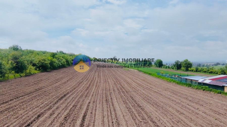 Teren- Com. Stefan cel Mare- jud. Neamt - 6