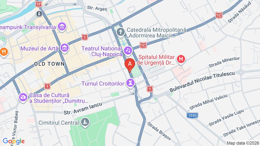 Dau in chirie garsoniera ultracentral - 6