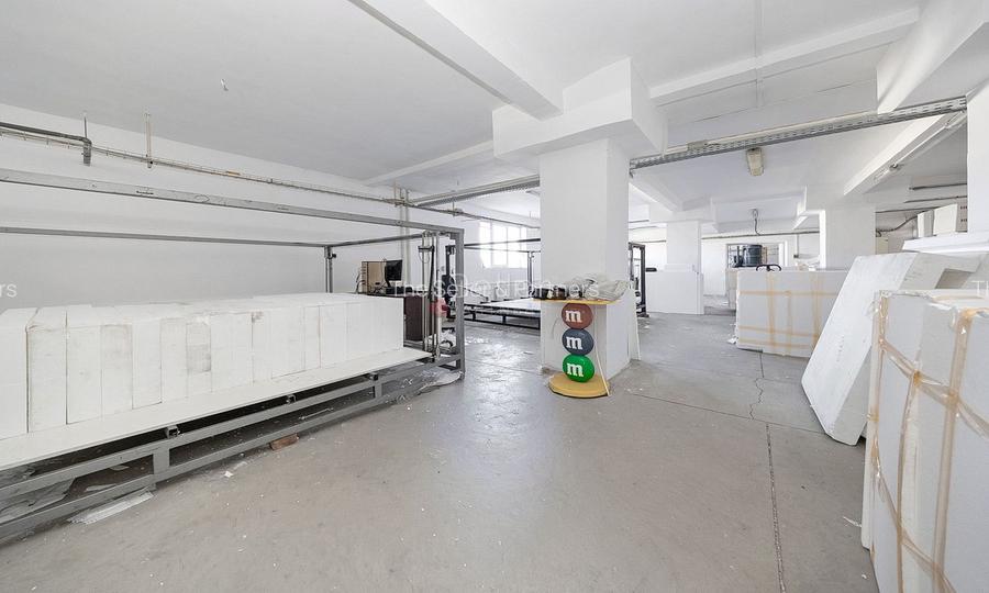 Platformă industrială cu 2 hale și sediu administrativ – teren 3.871 m - 27