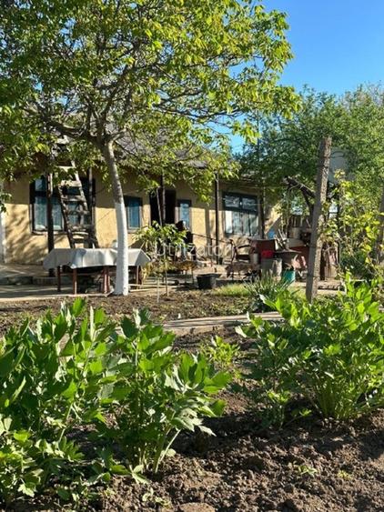 Direct proprietar: Casă demolabilă + teren 1167mp - 2