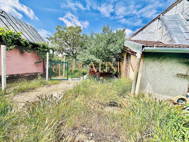 P4504 Casa cu 5 camere in Becicherecu Mic teren 961 mp ASFALT - 14