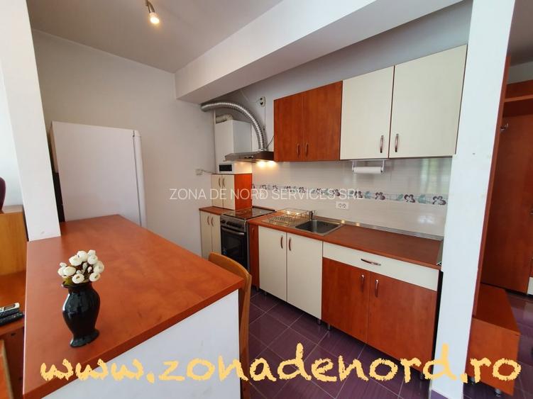 Bucureștii-Noi – Dămăroaia | Metrou Parc Bazilescu | Centrală | Parcare proprie - 4