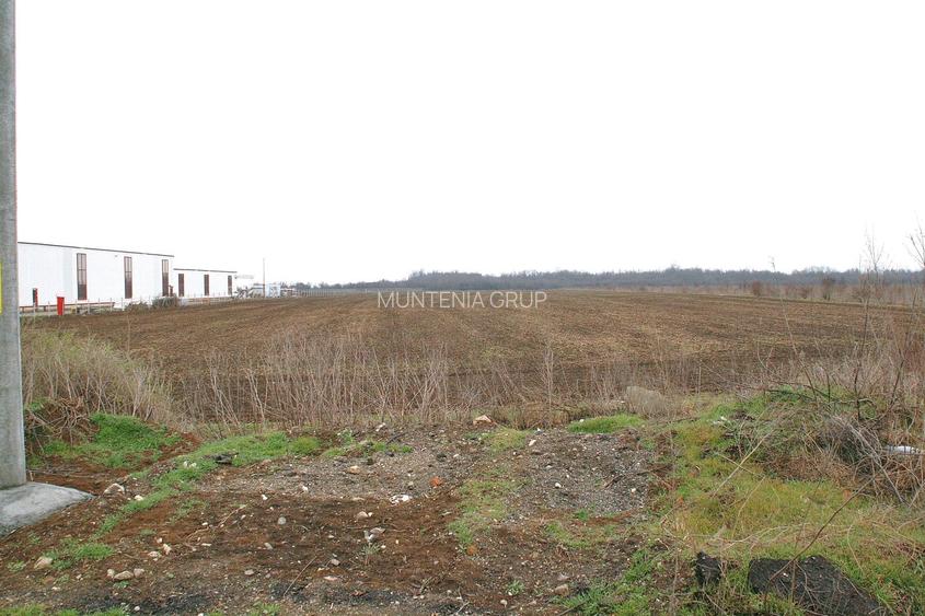 OTOPENI - Str. Drumul Garii Balotesti, 30.400 mp. teren ideal dezvoltare imob. - 5
