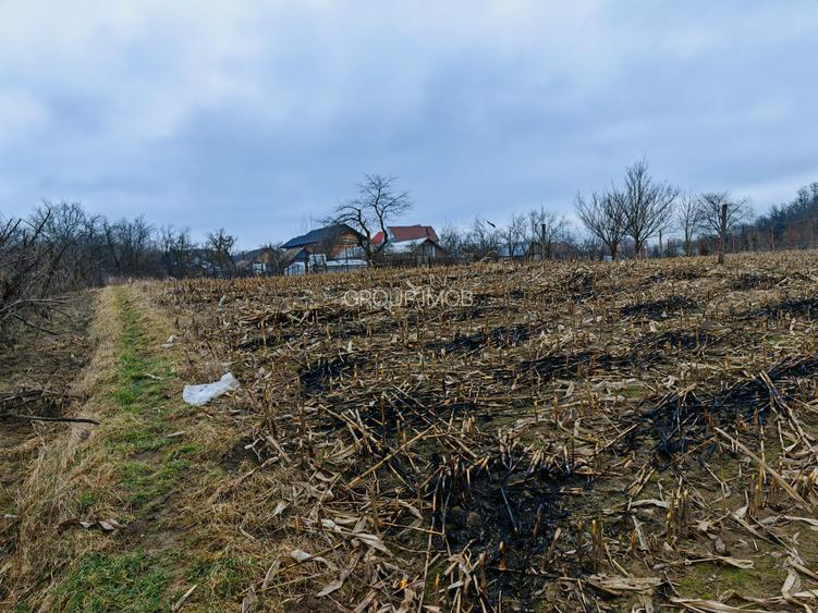 Teren intravilan central, Magura - 9