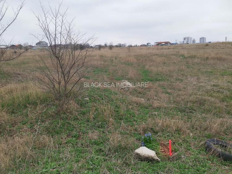 TEREN INTRAVILAN 306 mp – Palazu Mare, Constanta - Ocazie Unica - 3