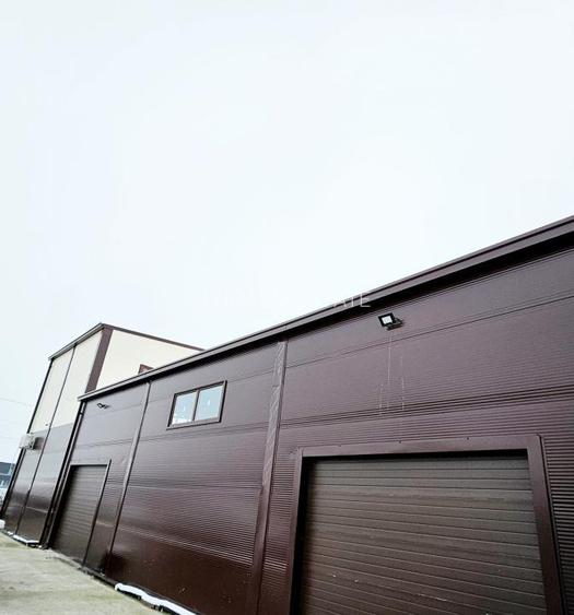 Hala, Mosnita Noua - 2