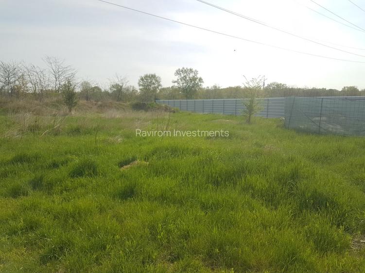 Teren 1.598mp, deschidere dubla, cea mare de 70ml, strada Arinilor, Gheraiesti - 2