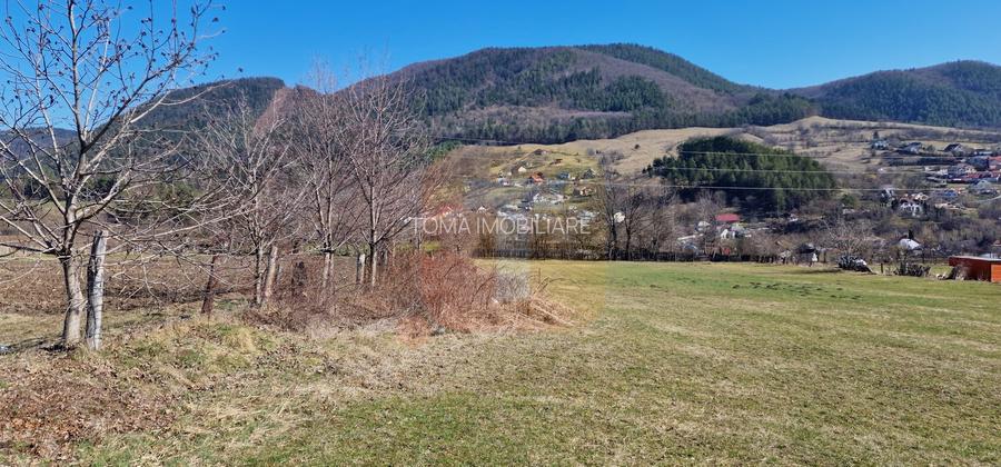 Teren intravilan de 4.000 mp în Bistrița – Alexandru cel Bun - 14