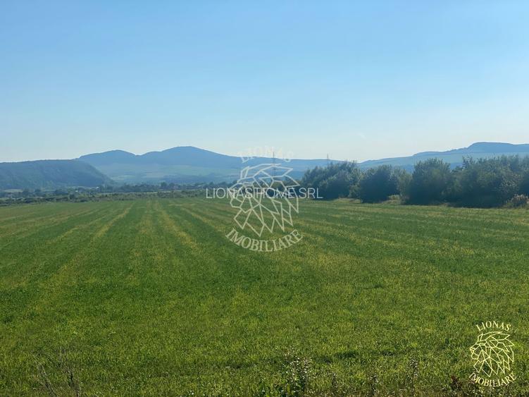 Teren 13400mp la DN 17-parcelabil Podirei - 7