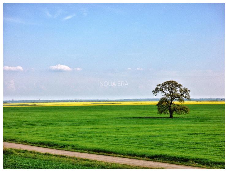 Comunitate verde în mijlocul naturii. Teren langa Frumușani. 12 libere - 12