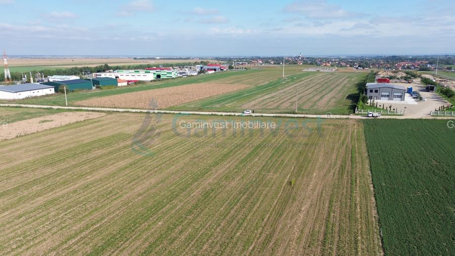Teren intravilan de vanzare, 66400 mp, langa Oradea, Bihor  - 14