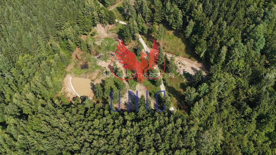 18000 mp de natura pura ,Lupeni, langa Straja - 24