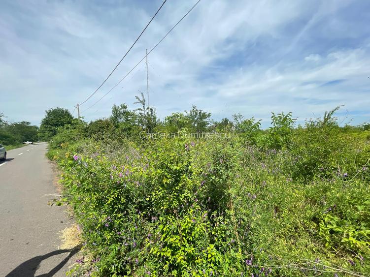 SNAGOV PLAZA - TEREN IDEAL DEZVOLTARE IMOBILIARA! - 5