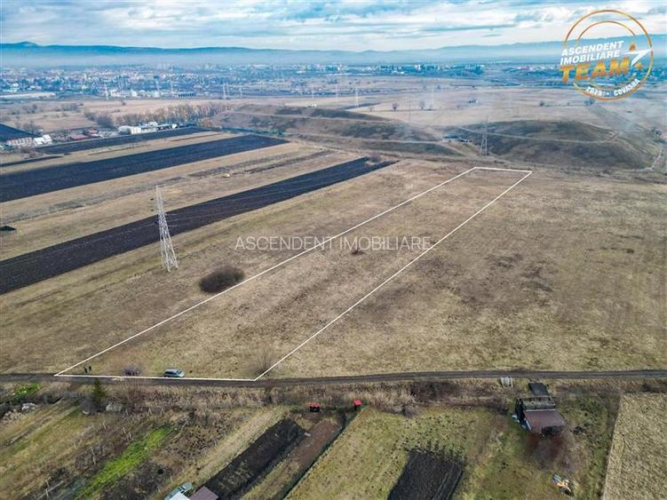11.600 mp in Sfantu Gheorghe,deschidere: agroturism, investitie, ferma, comercia - 3
