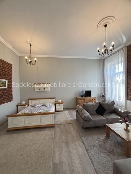 Apartament cu o camera în clădire istorică ,zona Maria - 16