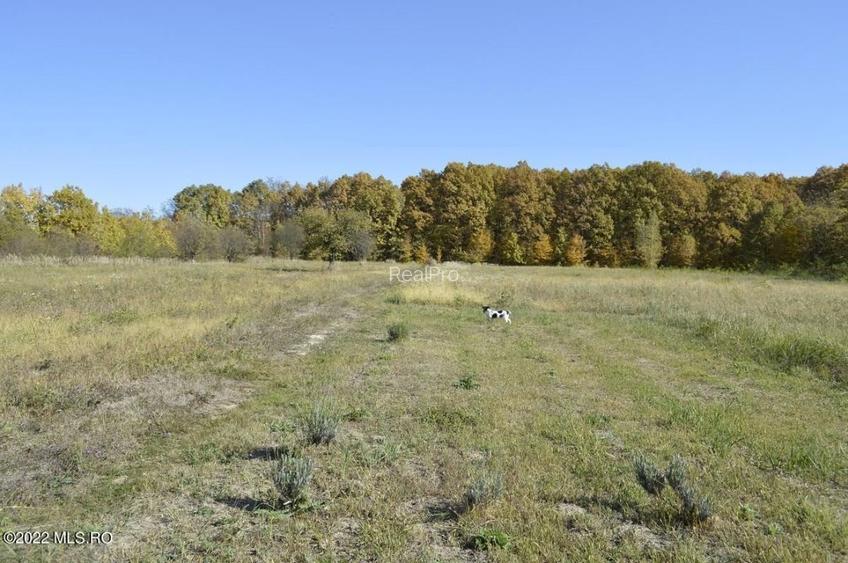 Topoloveni - Conacul Ion Mihalache, Domeniu pe 5 Hectare! - 60