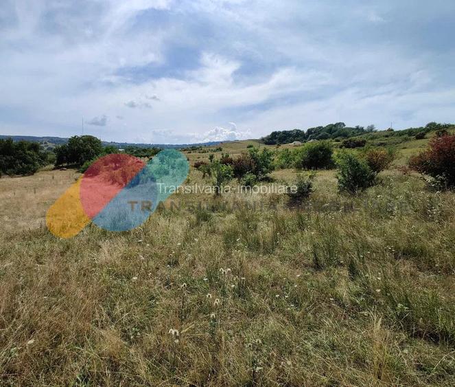 Teren intravilan 647 mp de vanzare in Borhanci – zona de urbanizare, PUZ in curs - 3