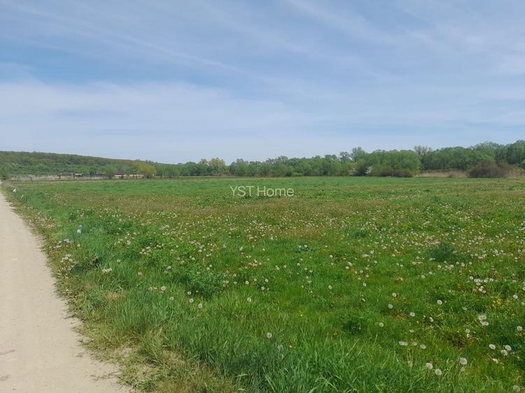 Teren de vanzare intravilan 5000 m2 Cisnadie zona SOMA - 3