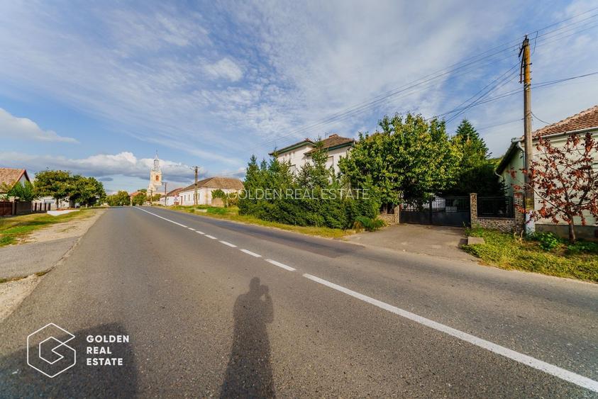 Vila superba, P+E,  Cuvin, 9 camere, 200 mp si teren 1300 mp plus anexa 3 camere - 38